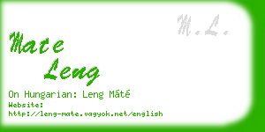mate leng business card